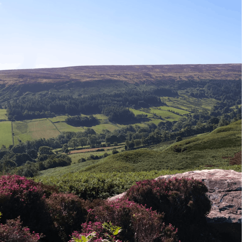 Explore North Yorkshire, including the nearby town of Thirsk