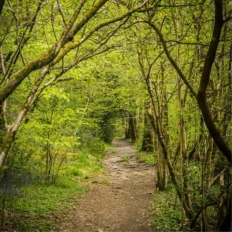 Embark on long rambles through the surrounding nature reserve and keep an eye out for wildlife