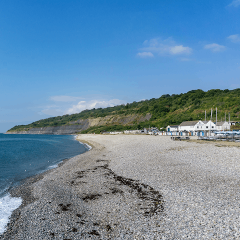 Take a short stroll into the seaside town of Lyme Regis