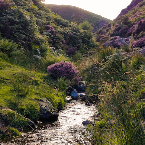 Take a walk in the surrounding Shropshire Hills