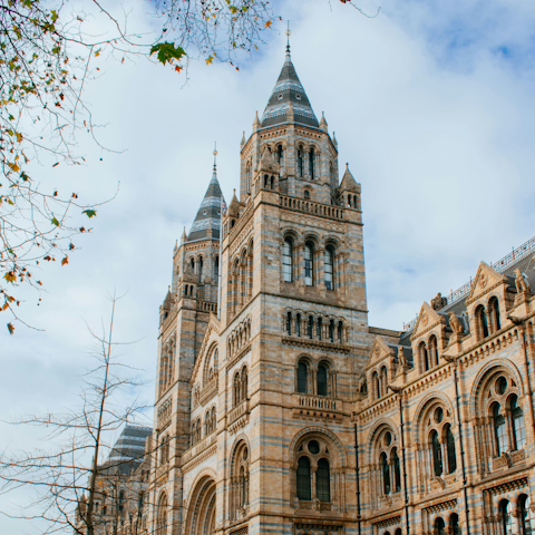 Wander ten minutes to the Natural History Museum