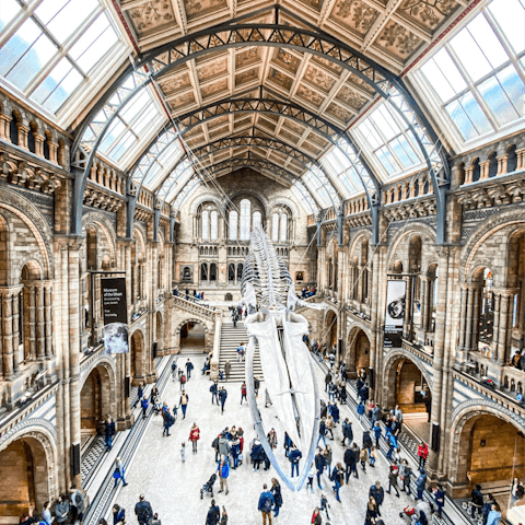Pop over to the Natural History Museum, moments away