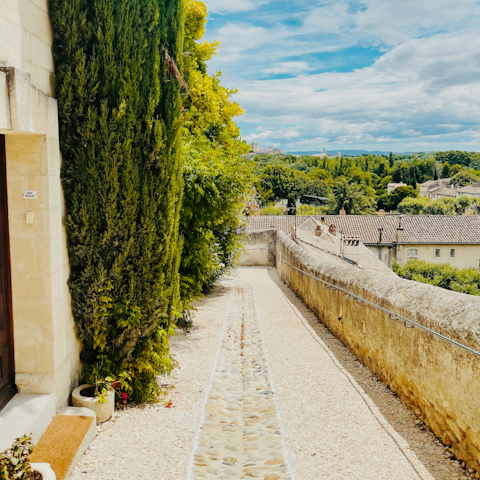Take a day trip to the honey-hued streets of Avignon