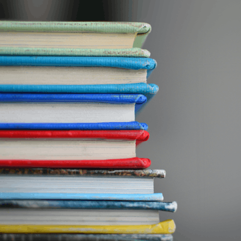 Lose yourself in a book from your host's book swap library