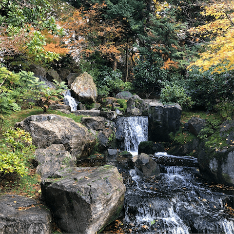 Head to the serene settings of Holland Park by public transport in half an hour
