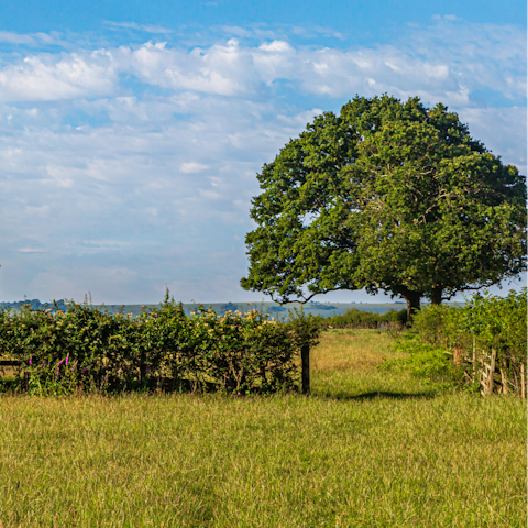 Be surrounded by the beautiful Dorset countryside