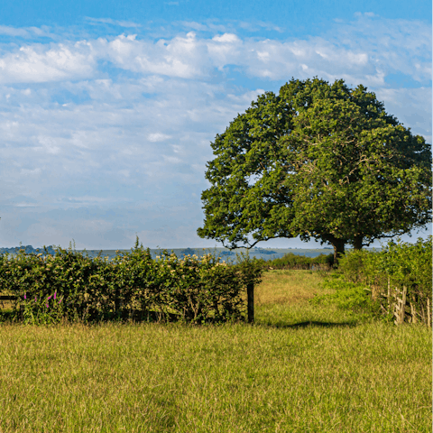 Be surrounded by the beautiful Dorset countryside