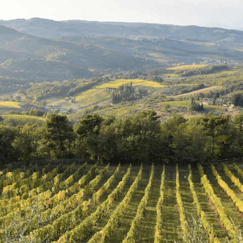 Sip world-famous Tuscan wines straight from the source