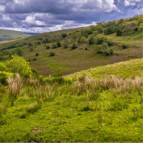 Spend a day discovering the rolling hills of the Yorkshire Dales, a thirty-minute drive from home