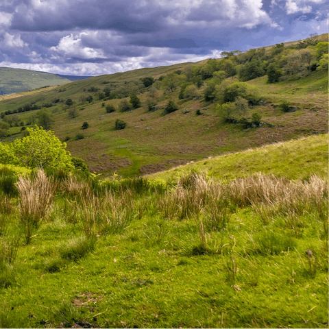 Spend a day discovering the rolling hills of the Yorkshire Dales, a thirty-minute drive from home
