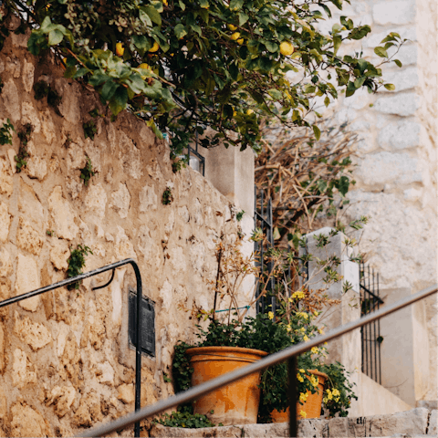 The house is located in a quiet area just outside of Sineu, making it a great base for exploring the island.