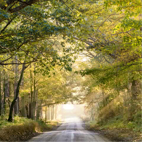 Enjoy beautiful walks in the countryside