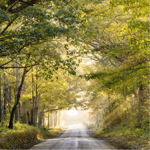Enjoy beautiful walks in the countryside