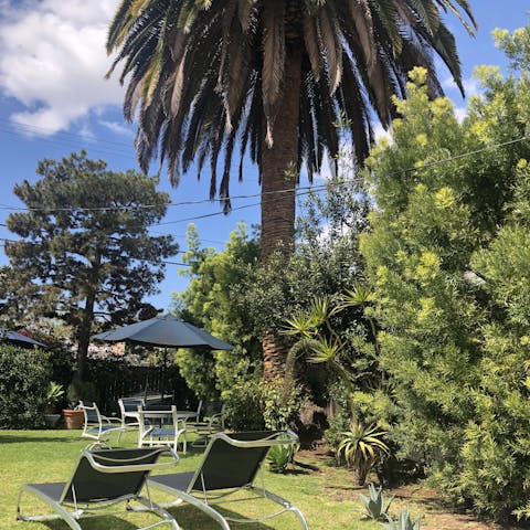 Sip your morning coffee in the delightful garden, under the shade of the palm tree