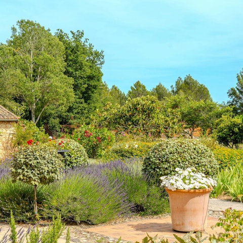 Reconnect with nature in the verdant gardens – all lavender scents and birdsong