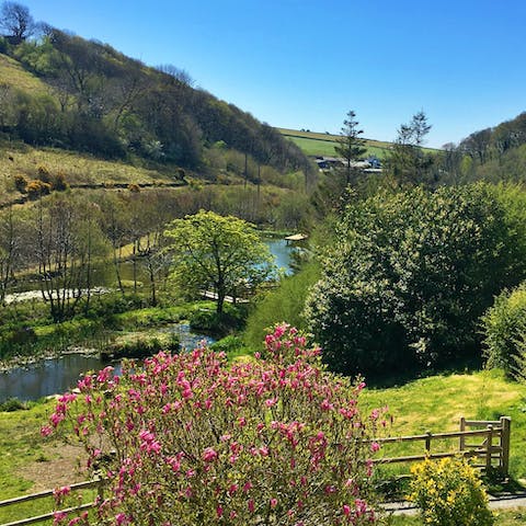 Explore the glorious green Devon countryside right on your doorstep