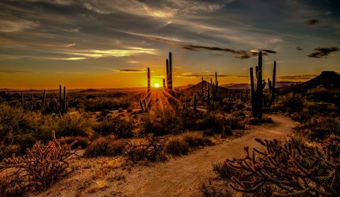 Explore stunning Sonoran Desert hiking trails, just a short drive from your home