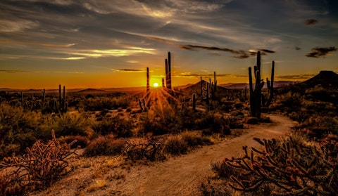 Explore stunning Sonoran Desert hiking trails, just a short drive from your home