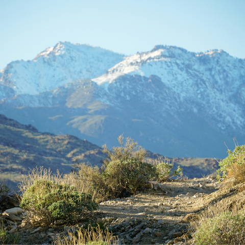 Discover scenic hiking at Indian Canyons, twelve-minutes away by car