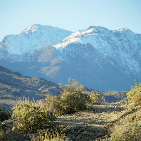 Discover scenic hiking at Indian Canyons, twelve-minutes away by car