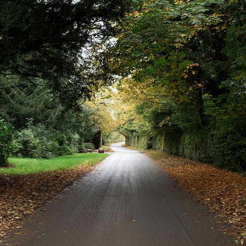 Explore one hundred acres of sprawling garden and woodland on your doorstep
