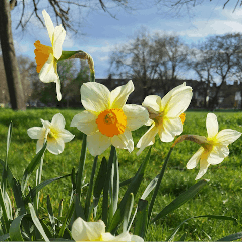 Step outside and enjoy a stroll across Clapham Common