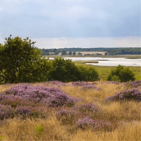 Head out of the village and explore Suffolk's beautiful coast and heaths