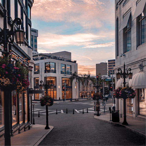 Fill up your suitcase with new clothes bought from the shops of Beverly Hills, only twenty five minutes away by car