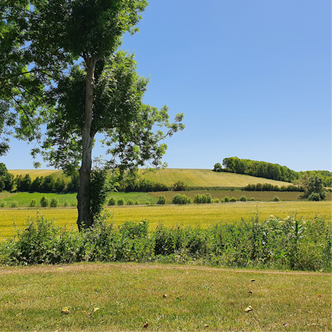 Explore the town of La Colle-sur-Loup and the surrounding countryside