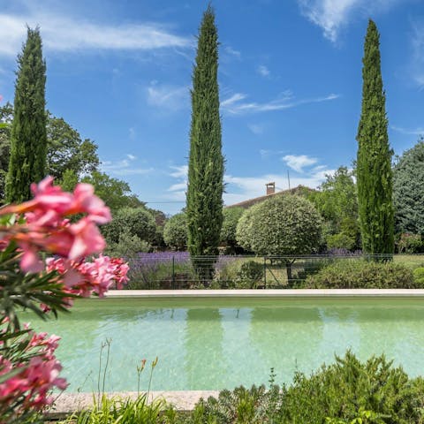 Spend the afternoon relaxing by the private pool