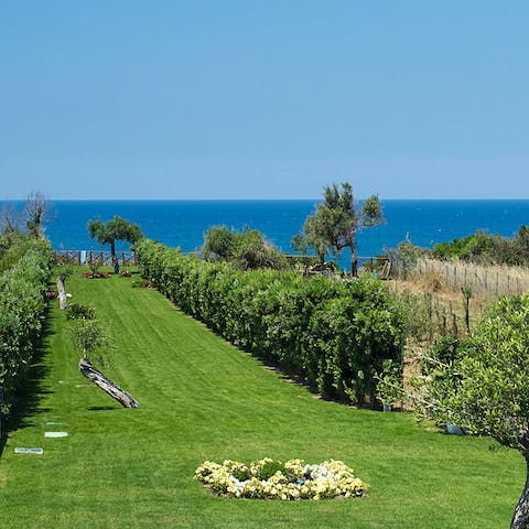 Enjoy leisurely afternoons in the garden, soaking up the sea vistas