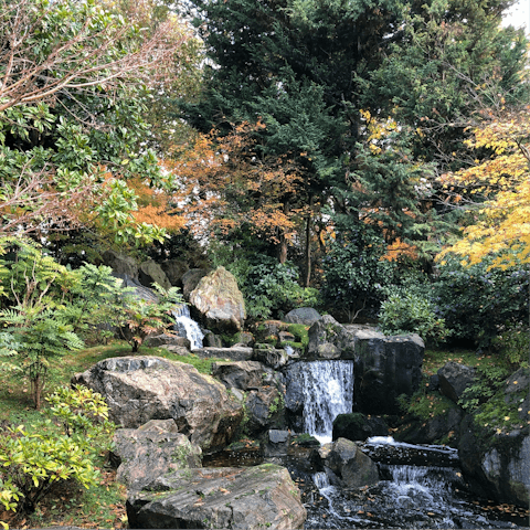 Enjoy a leafy stroll around nearby Holland Park
