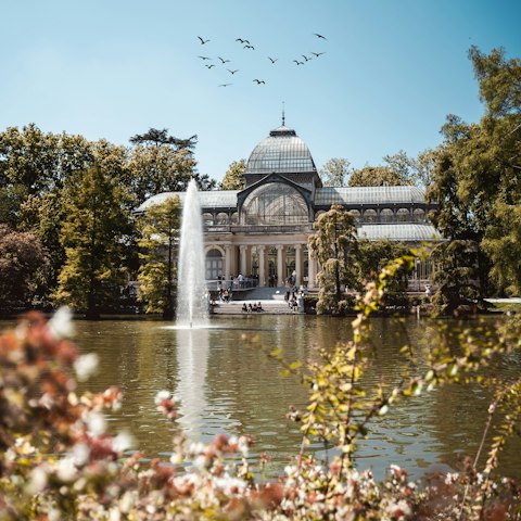 Soak up the sun as you stroll around El Retiro Park