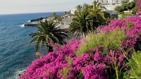 Stroll Funchal's Lido Promenade along a stunning Atlantic seafront
