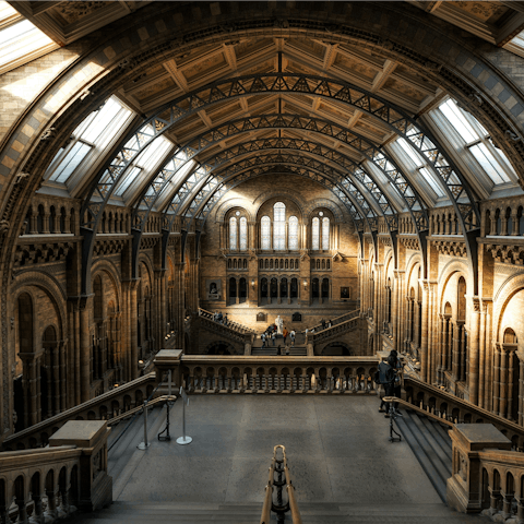 Spend the day at the Natural History Museum, not far on foot