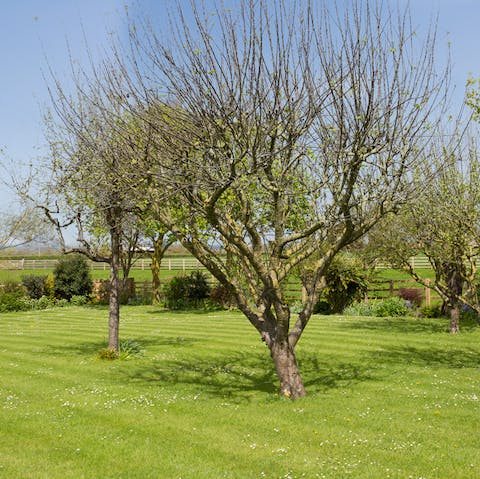 Explore the estate's expansive grounds