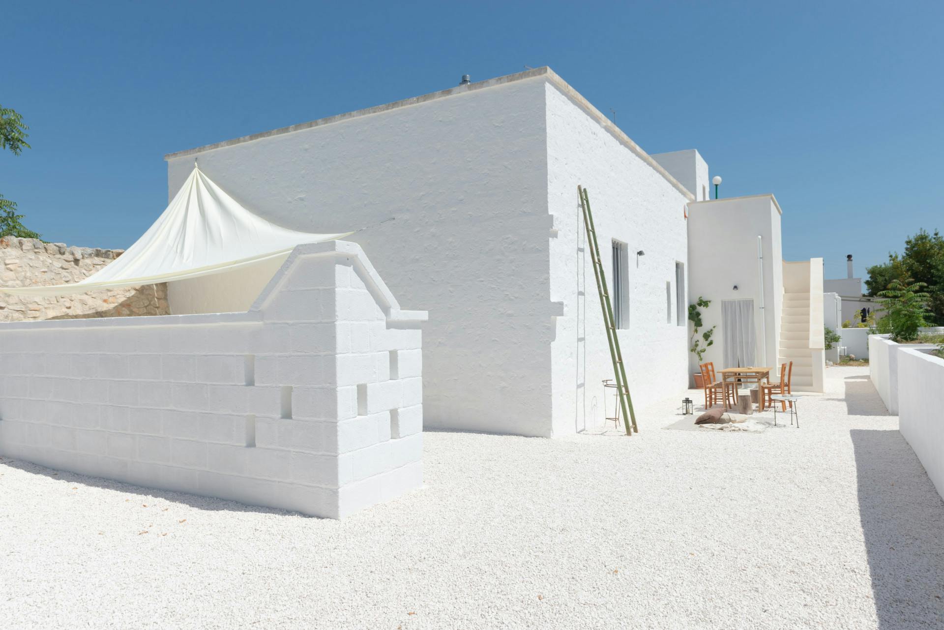 Olive Grove Serenity