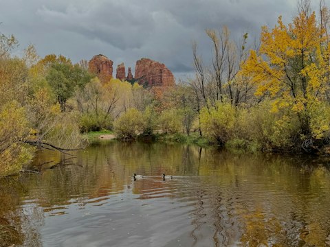Swim or hike through Oak Creek Canyon's lush, verdant gorge, roughly a twenty-minute drive