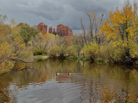 Swim or hike through Oak Creek Canyon's lush, verdant gorge, roughly a twenty-minute drive