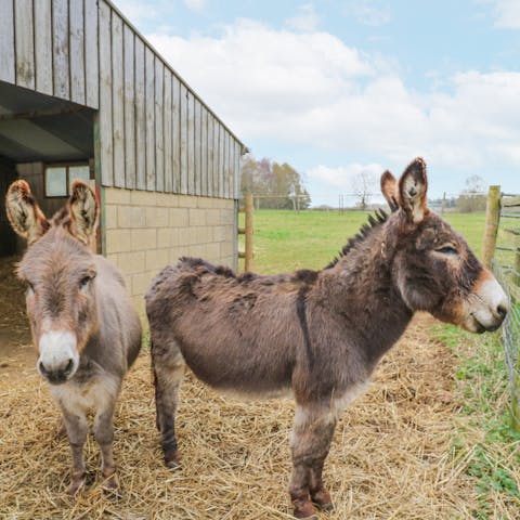 Marvel in staying on a working farm
