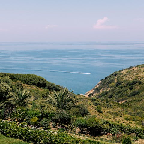Stay in a serene spot on Skiathos, an island beloved for its beaches and party scene