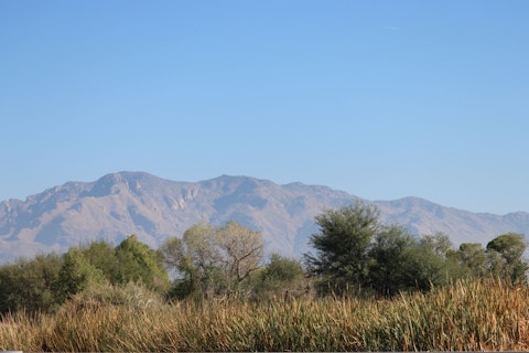 Hike Catalina State Park's rugged trails through stunning Sonoran Desert scenery, a fifteen-minute drive