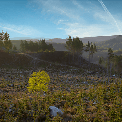 Breathe in the Highland air as you explore the Cairngorms National Park
