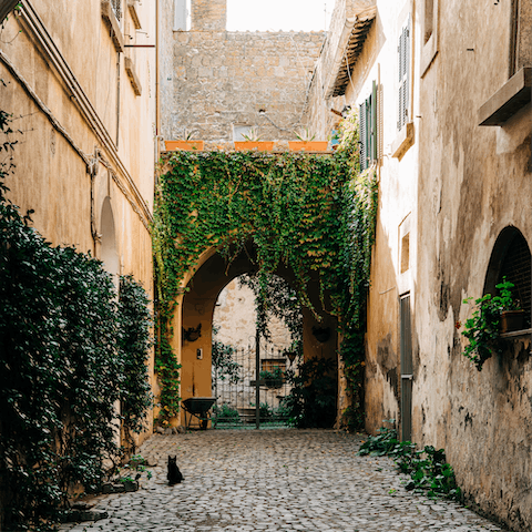 Explore the sleepy town of Grândola with its charming local restaurants