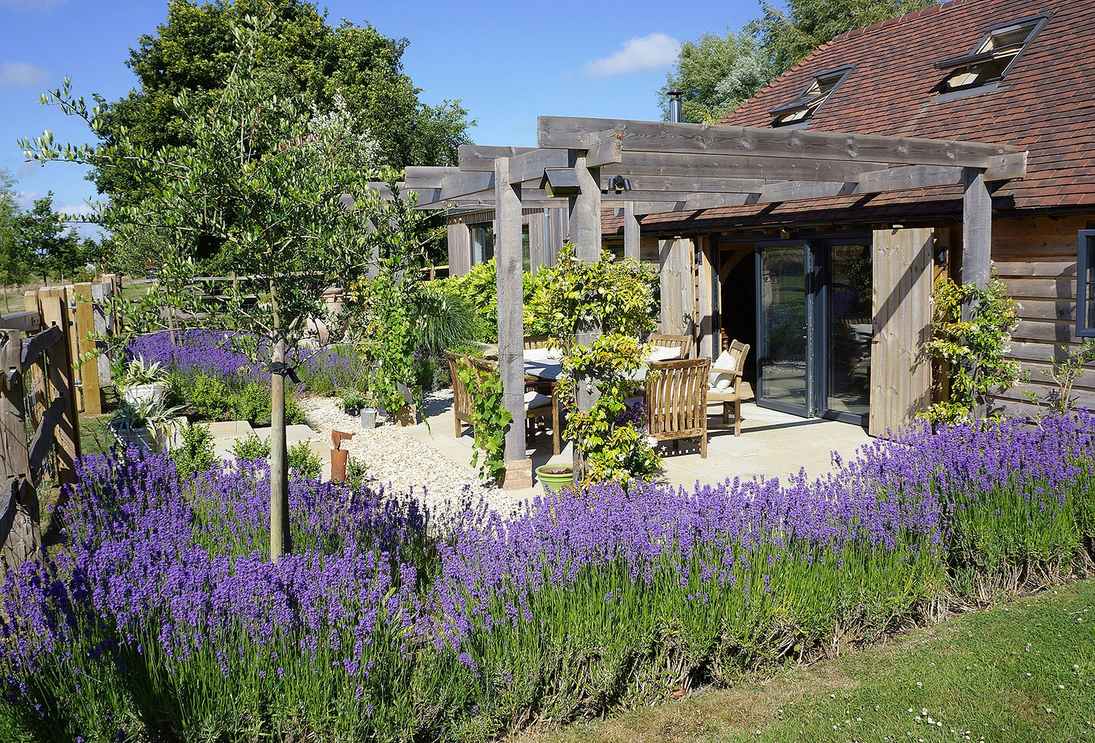 Scented Lavender