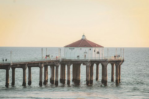 Discover Roundhouse Marine Lab's live tide-pool displays beneath the pier