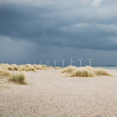 Go for a stroll at Amager Strandpark nearby