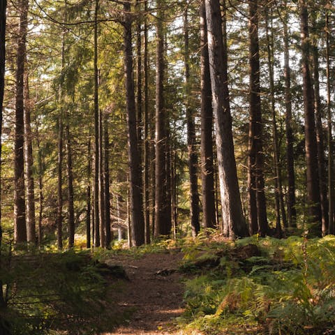 Embrace the magic of the great outdoors from the heart of Northumberland