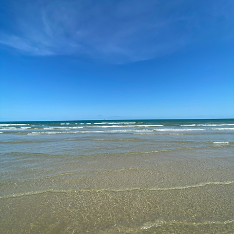 Explore the long sandy beaches of Mustang Island