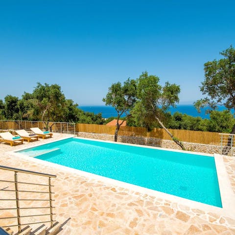 Flit between the swimming pool and the surrounding loungers